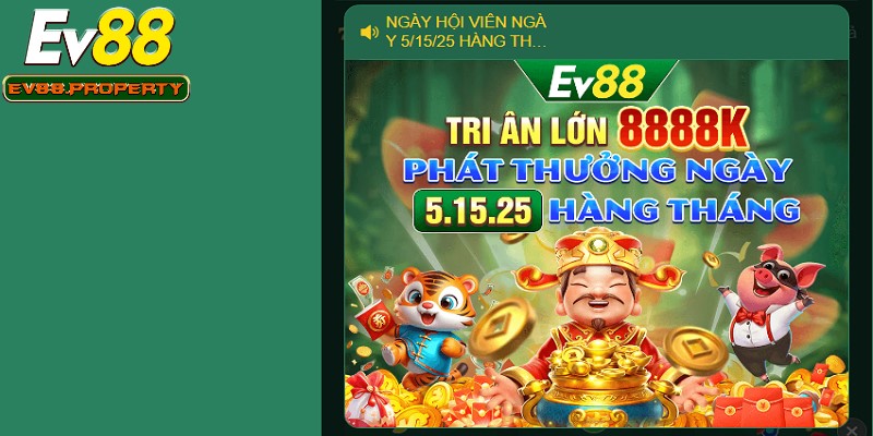 Khi đạt cấp độ VIP, thành viên sẽ có được trải nghiệm tối ưu