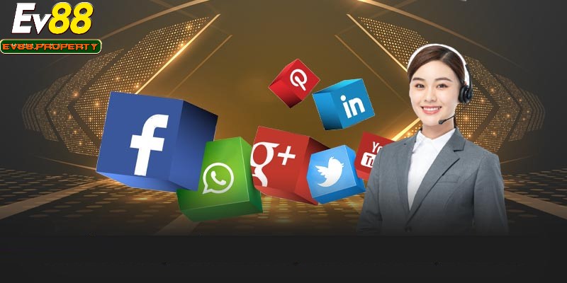 Sân chơi có đội ngũ chăm sóc khách hàng tận tâm