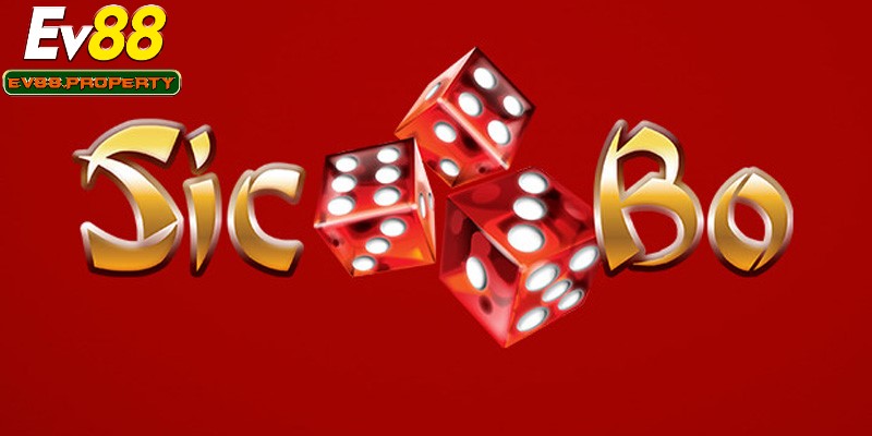 Trò chơi Sic Bo dễ dàng tham gia trải nghiệm